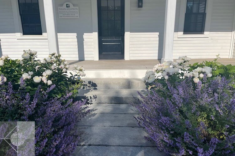 Landscaped entranceway at an office in Damariscotta, Maine by Phelps Architects.